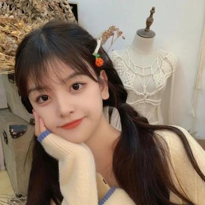 联邦调查局第七季